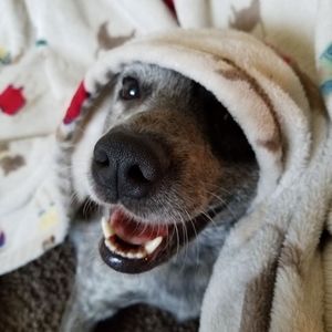 Meet your Posher, Candace